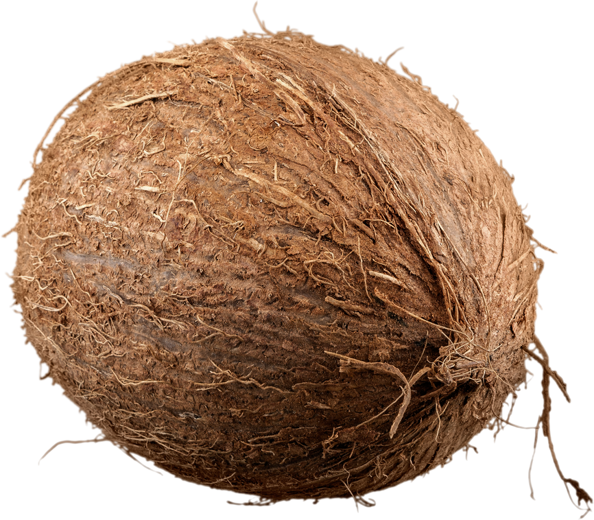 Individual Coconut